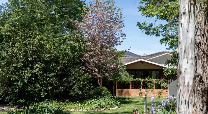 Nest House Bright - Image 1
