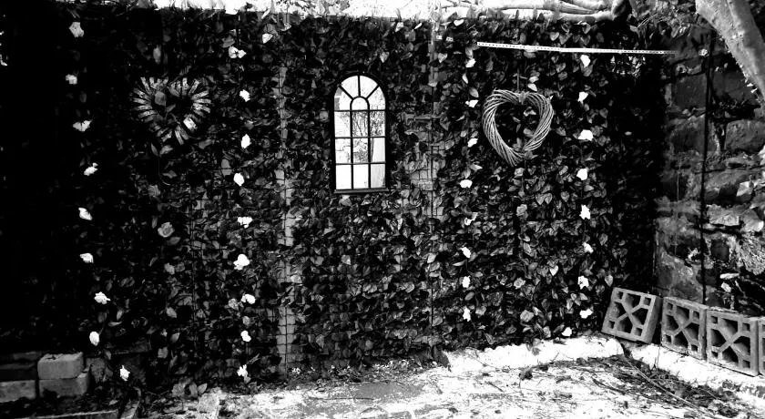 BELFAST COSY CABIN - Image 1