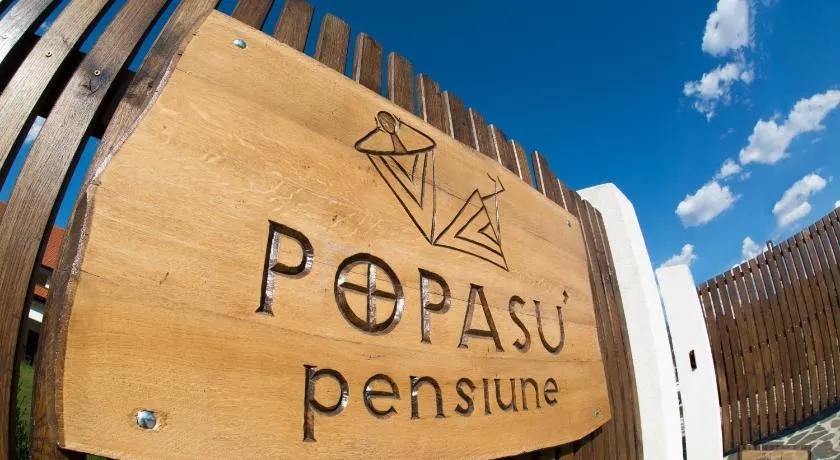 Pensiunea Popasu - Image 1