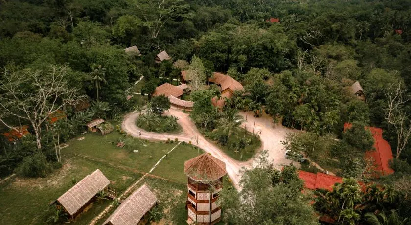 Our Jungle Camp - Image 1