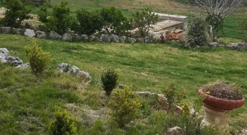 B&B NUZZI - Image 1
