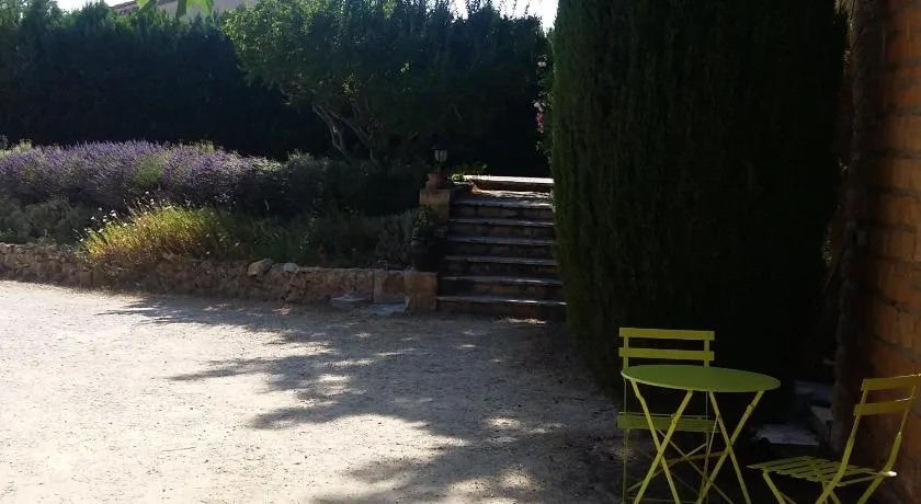 les oliviers - Image 1