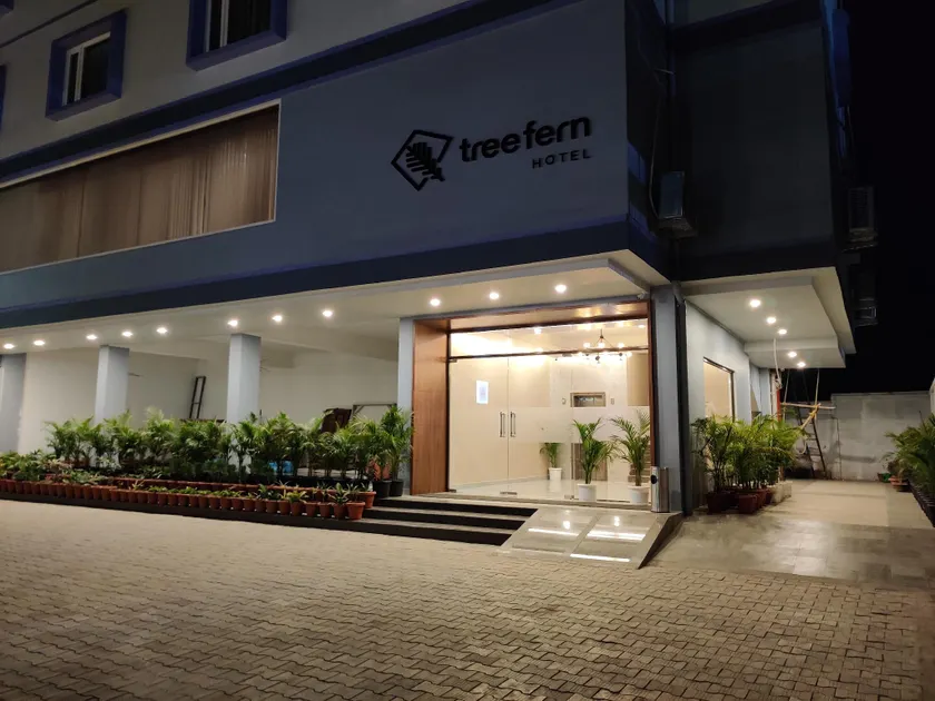 Hotel Tree Fern - Image 1