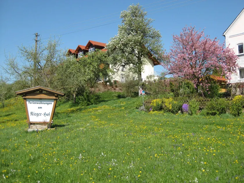 Wohnung in Rotthalmunster mit Garten - Image 1