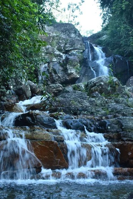 Sinharaja Kurulu Ella Eco Resort - Image 1