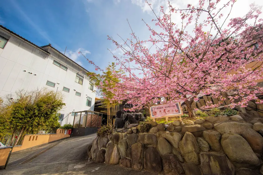 Inatori Akao Hotel - Image 1
