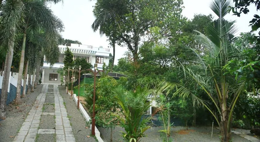 Golden Nest - Image 1