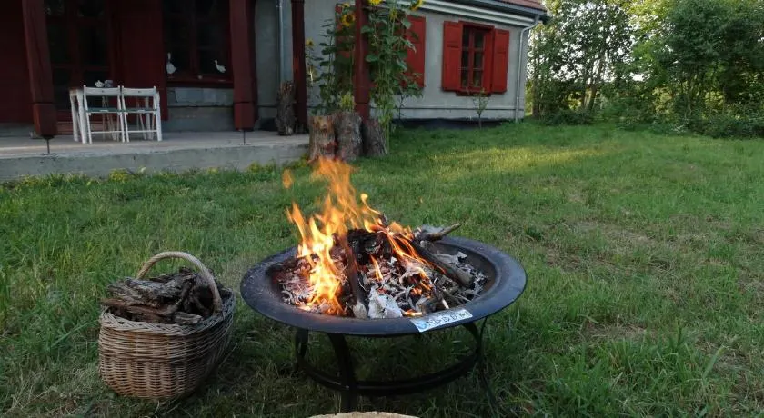 Dwór Zalipie w Starych Zambskach - Image 1