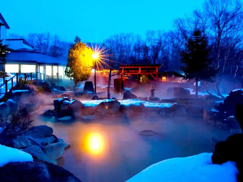 Niseko Grand Hotel - Image 1