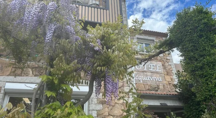 L'Acqua Viva - Image 1