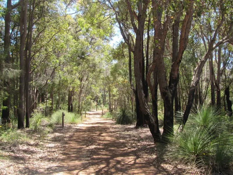 Hidden Valley Forest Retreat - Image 1