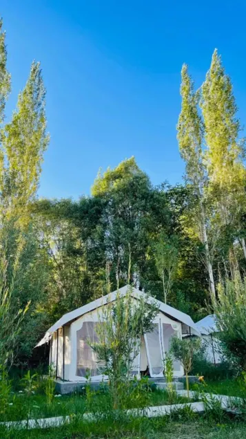 Saser Camp - Image 1