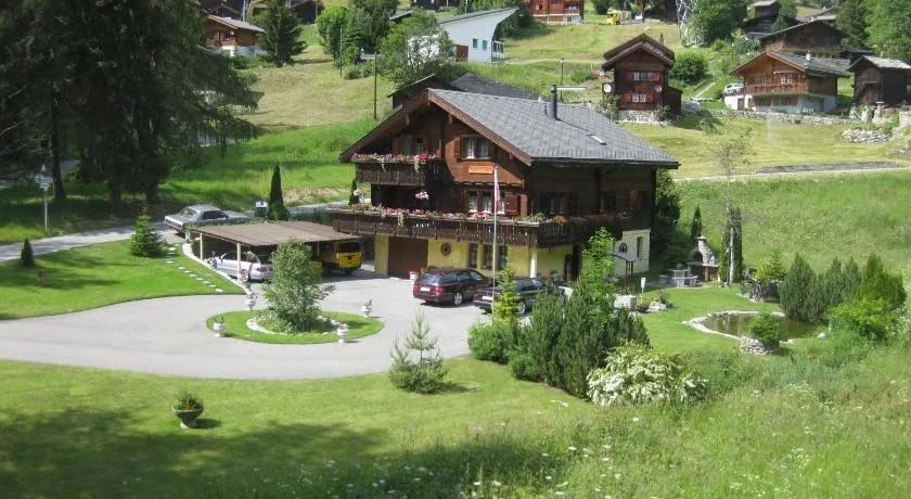 Valentin VL1 - Image 1