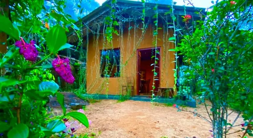 Serendib House - River View Jungle Stay Near Sinharaja Kudawa Gate - Image 1