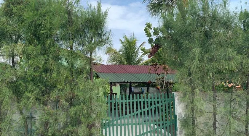 Paradise City - Image 1