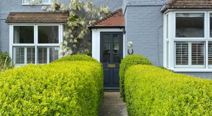 Rye Treat - Image 1