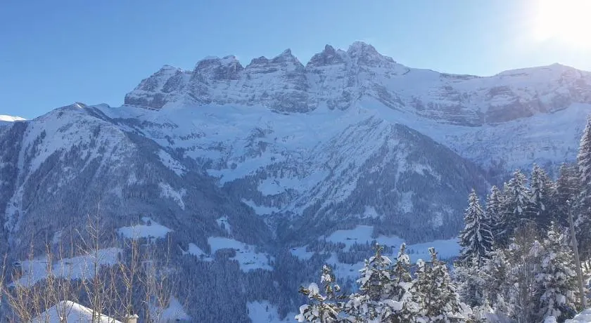 Chalet le Grenier des Crosets, Vue exceptionnelle sur les Dents du Midi - Image 1