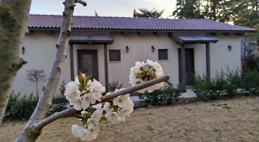 דצ'א - Дача - Dacha - Image 1