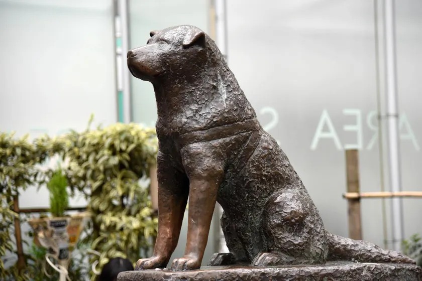 Life Wear DAIKANYAMA - Image 1