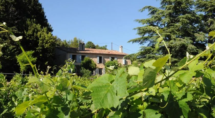 Les Vignes de Terrisse - Image 1