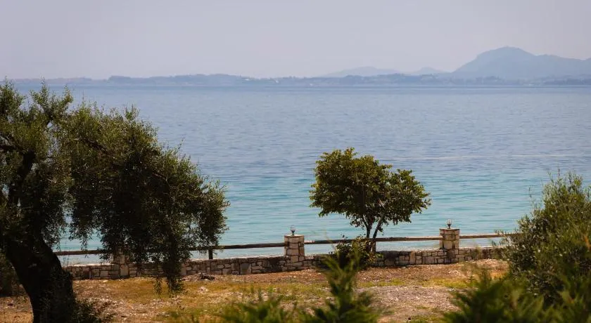 Bluenique Barbati - Image 1