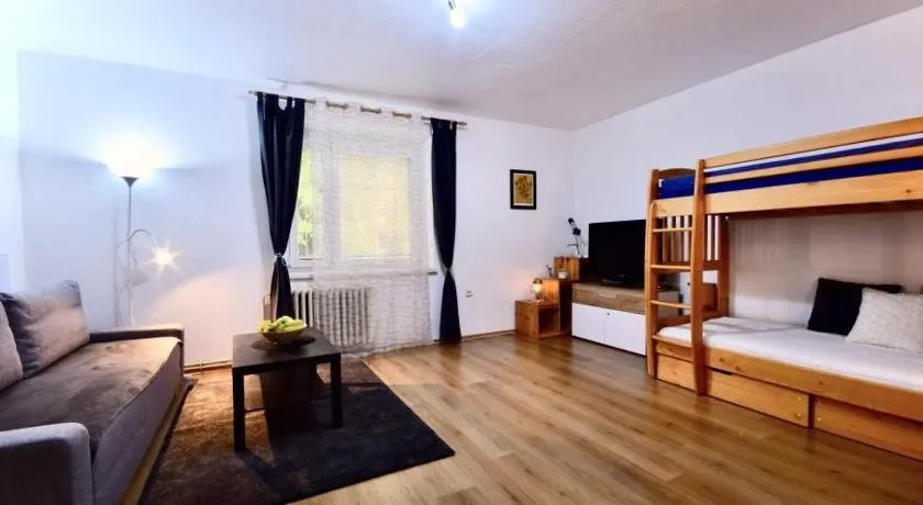 Apartmán Jáchymov - Klínovec - Image 1
