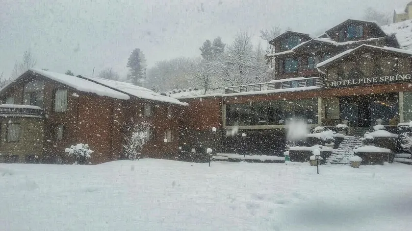 Hotel Pine Spring Pahalgam - Image 1