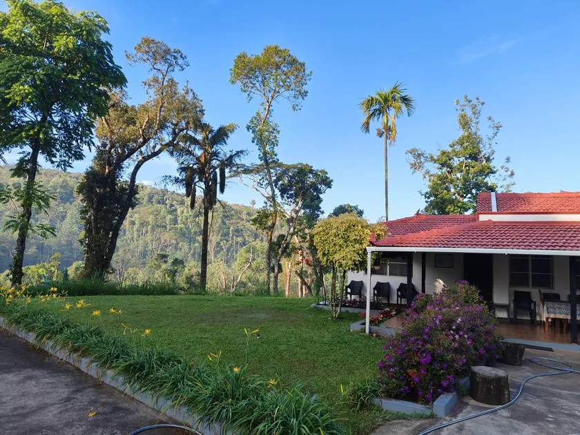 Moon Mist Resort - Image 1