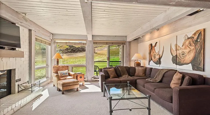 Enclave 201, Snowmass Ski-In/Ski-Out Condo w/Shared Pool/Hot Tub/Gym/WiFi - Image 1