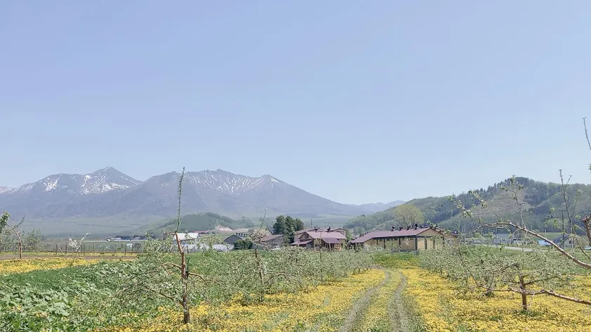 Winery Inn Inaka Club - Image 1