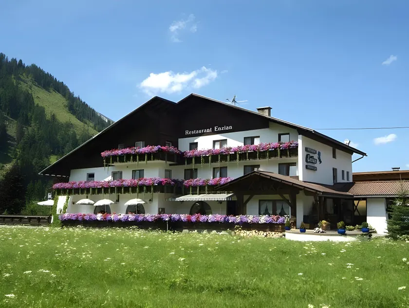 Gasthof Restaurant Pizzeria Enzian - Sommerbergbahnen inklusive - Image 1
