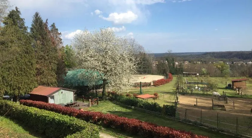 Agriturismo Tenuta Blueberry - Glicine - Image 1