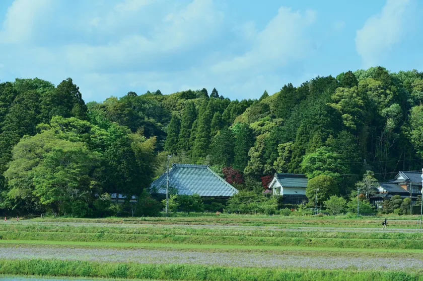 Marugayatsu - Image 1