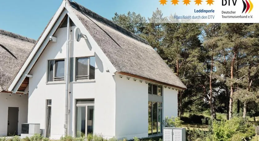 Ferienhaus Loddinperle mit Sauna - Image 1