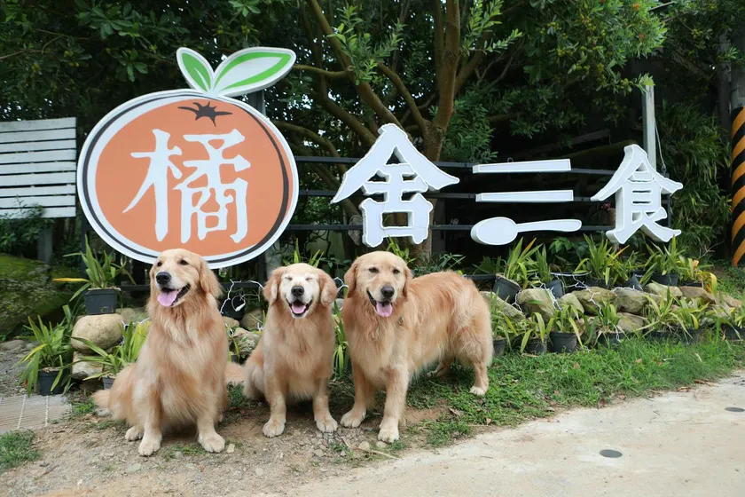 橘舍三食OrangeFarmerlife - Image 1