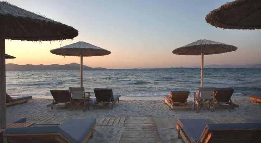 Philippos & Alexandros Apartments - Image 1