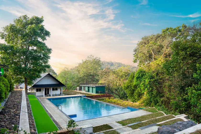 jungle view resort - Image 1