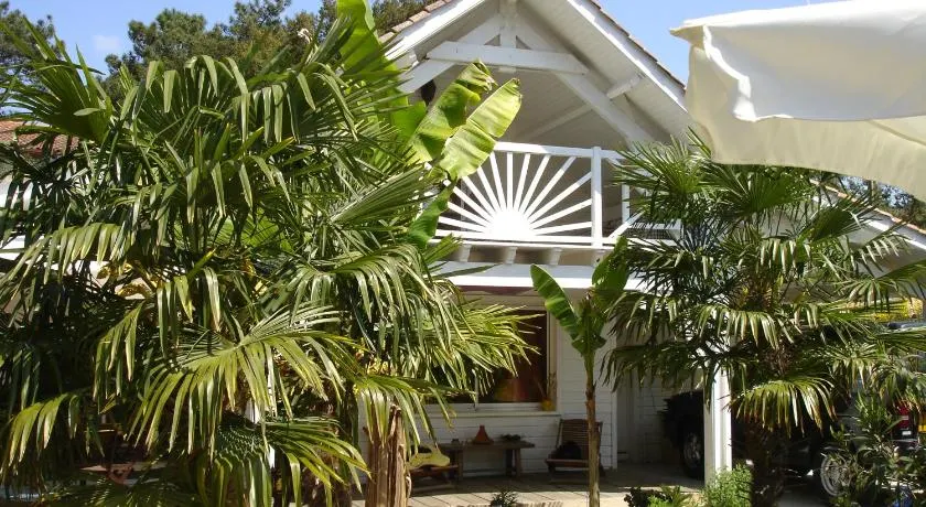 CASA COM BAR AO AR LIVRE E PISCINA NO CORAÇÃO DA NATUREZA LANDAISE PERTO DO OCEANO - Image 1