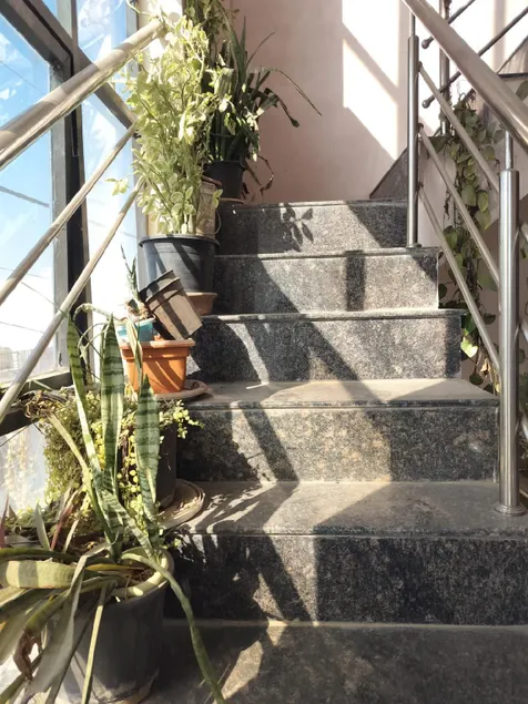 Prem Ratan Homestay - Image 1