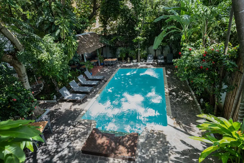 Jungle Addition - Image 1