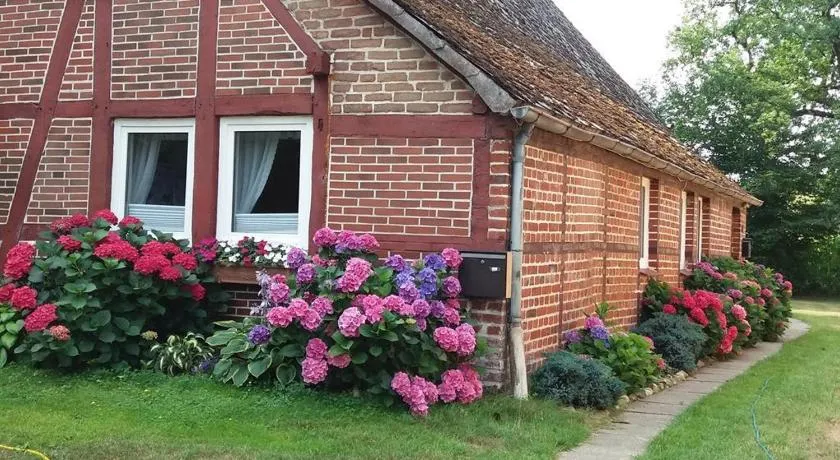 Appartement avec terrasse, barbecue et jardin | Avec animaux acceptés - Image 1