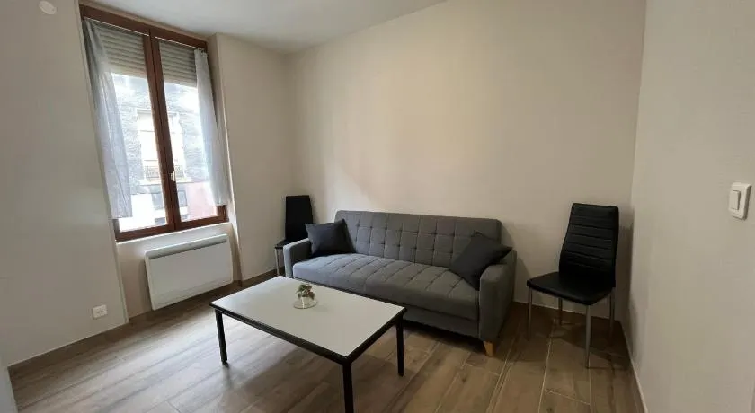 Appartement rénové à 15 min de Lyon - Image 1
