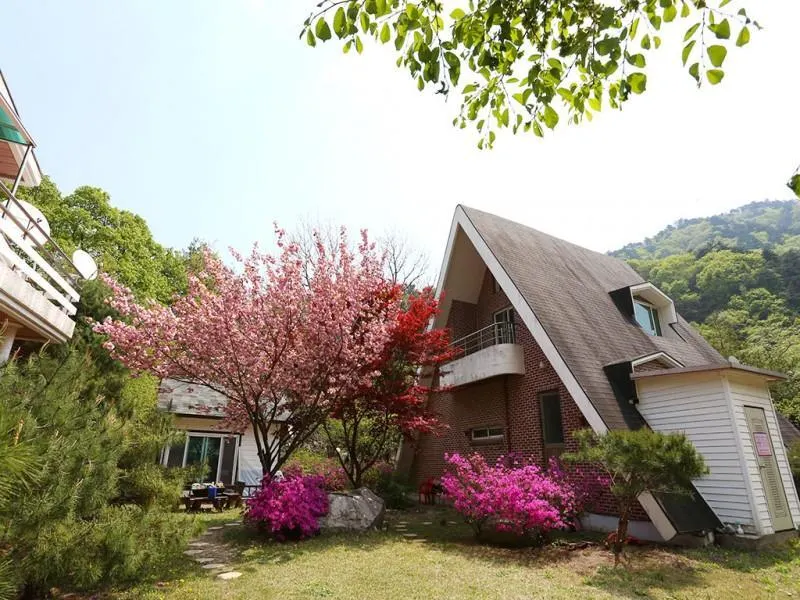 Gangneung jeongmyeongsu pension - Image 1