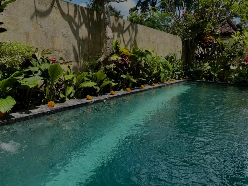 Blue Lotus Ubud - Image 1