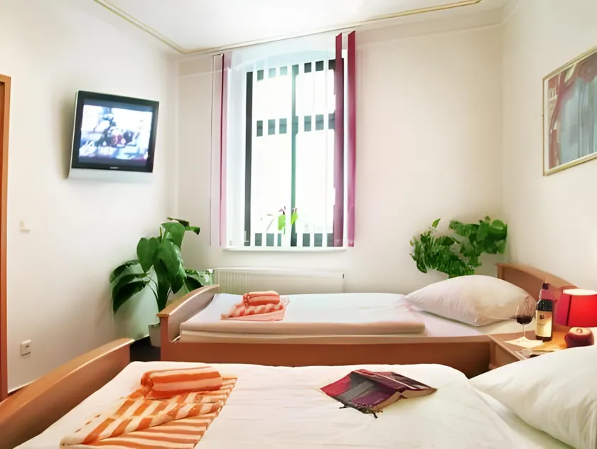 Hotel-Pension Am Schwanenteich - Image 1