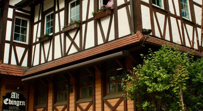 Hotel Alt Ebingen - Image 1
