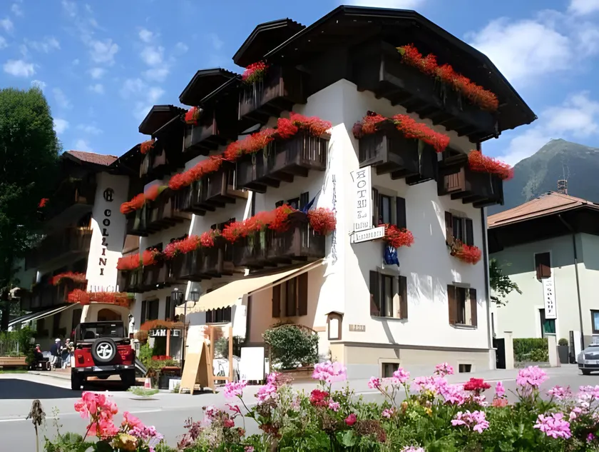 Hotel Collini - Image 1