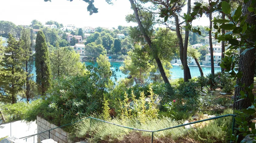 Studio apartment Dino SA2  Splitska, Island Brac - Image 1