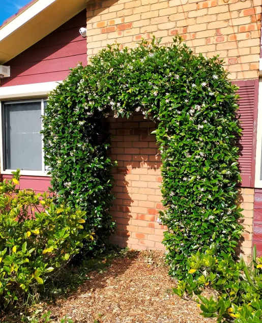 4 Bedroom, 3 bath room home in Kingswood NSW, free WIFI Internet, free parking - Image 1