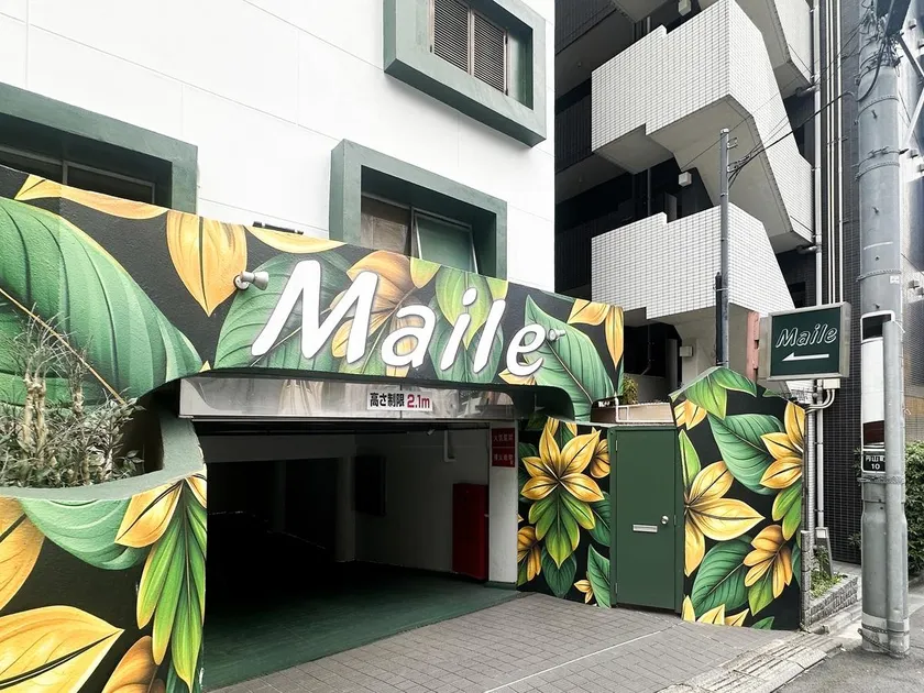 Hotel Maile - Image 1